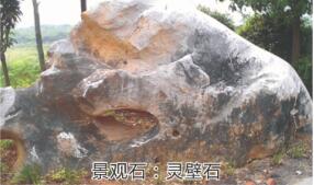 弘899D兩人位沙發圖片及價格